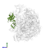 DNA-directed RNA polymerases I, II, and III subunit RPABC1 in PDB entry 5oik, assembly 1, side view.