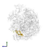 DNA-directed RNA polymerases I, II, and III subunit RPABC2 in PDB entry 5oik, assembly 1, side view.