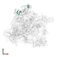 DNA-directed RNA polymerase II subunit RPB9 in PDB entry 5oik, assembly 1, front view.