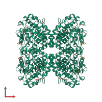 Homo tetrameric assembly 1 of PDB entry 5oiw coloured by chemically distinct molecules, front view.