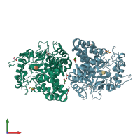 PDB entry 5oiw coloured by chain, front view.