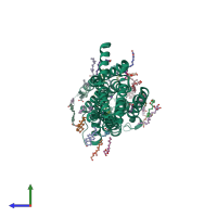 PDB entry 5om4 coloured by chain, side view.