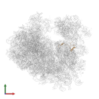 Small ribosomal subunit protein eS30A in PDB entry 5on6, assembly 2, front view.