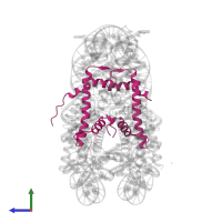 Histone H4 in PDB entry 5onw, assembly 1, side view.