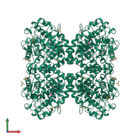 Homo tetrameric assembly 1 of PDB entry 5onz coloured by chemically distinct molecules, front view.