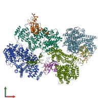 PDB entry 5oob coloured by chain, front view.