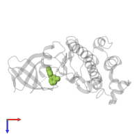 6-azanyl-4-(3-methylphenyl)-1~{H}-pyrrolo[2,3-b]pyridine-3-carbonitrile in PDB entry 5opu, assembly 1, top view.