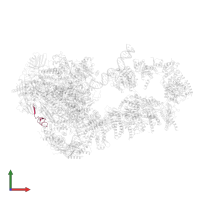 DNA-directed RNA polymerases I, II, and III subunit RPABC4 in PDB entry 5oqj, assembly 1, front view.