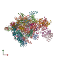 PDB entry 5oql coloured by chain, front view.