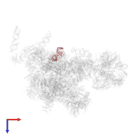 Utp30 in PDB entry 5oql, assembly 1, top view.