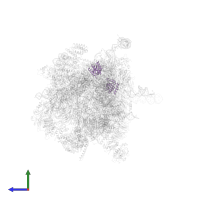 Ribonucloprotein in PDB entry 5oql, assembly 1, side view.