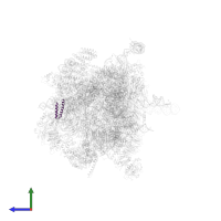 Ribosomal protein S13/S15 N-terminal domain-containing protein in PDB entry 5oql, assembly 1, side view.