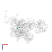 40S ribosomal protein S28-like protein in PDB entry 5oql, assembly 1, top view.