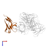 CMRF35-like molecule 1 in PDB entry 5or7, assembly 1, top view.