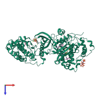 Homo dimeric assembly 1 of PDB entry 5orj coloured by chemically distinct molecules, top view.