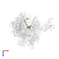 DNA template strand in PDB entry 5ot2, assembly 1, top view.