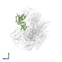 DNA-directed RNA polymerases I, II, and III subunit RPABC1 in PDB entry 5ot2, assembly 1, side view.