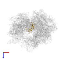 Large ribosomal subunit protein uL1 in PDB entry 5ot7, assembly 1, top view.