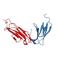 The deposited structure of PDB entry 5ou9 contains 4 copies of CATH domain 2.60.40.10 (Immunoglobulin-like) in Platelet glycoprotein VI. Showing 2 copies in chain A.