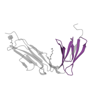 The deposited structure of PDB entry 5ou9 contains 2 copies of Pfam domain PF13927 (Immunoglobulin domain) in Platelet glycoprotein VI. Showing 1 copy in chain A.