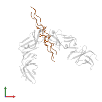 Collagen alpha-1(I) chain in PDB entry 5ou9, assembly 1, front view.