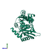 Porphobilinogen deaminase in PDB entry 5ov6, assembly 1, side view.