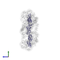 Histone H4 in PDB entry 5oy7, assembly 1, side view.