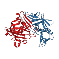 The deposited structure of PDB entry 5p38 contains 2 copies of CATH domain 2.40.70.10 (Cathepsin D, subunit A; domain 1) in Endothiapepsin. Showing 2 copies in chain A.