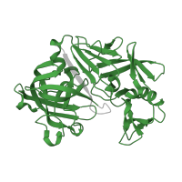The deposited structure of PDB entry 5p38 contains 1 copy of Pfam domain PF00026 (Eukaryotic aspartyl protease) in Endothiapepsin. Showing 1 copy in chain A.