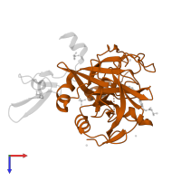 Factor VII heavy chain in PDB entry 5pag, assembly 1, top view.