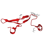 The deposited structure of PDB entry 5par contains 1 copy of CATH domain 2.10.25.10 (Laminin) in Factor VII light chain. Showing 1 copy in chain A.