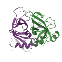 The deposited structure of PDB entry 5par contains 2 copies of CATH domain 2.40.10.10 (Thrombin, subunit H) in Factor VII heavy chain. Showing 2 copies in chain B [auth C].