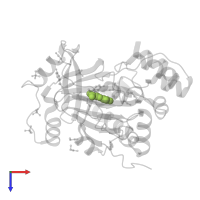 N-OXALYLGLYCINE in PDB entry 5phn, assembly 1, top view.