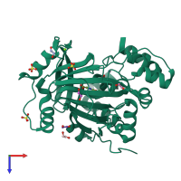 PDB entry 5phy coloured by chain, top view.