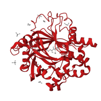 The deposited structure of PDB entry 5pjo contains 1 copy of CATH domain 2.60.120.650 (Jelly Rolls) in Lysine-specific demethylase 4D. Showing 1 copy in chain A.