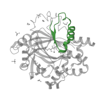 The deposited structure of PDB entry 5pjo contains 1 copy of Pfam domain PF02375 (jmjN domain) in Lysine-specific demethylase 4D. Showing 1 copy in chain A.