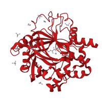 The deposited structure of PDB entry 5pkj contains 1 copy of CATH domain 2.60.120.650 (Jelly Rolls) in Lysine-specific demethylase 4D. Showing 1 copy in chain A.