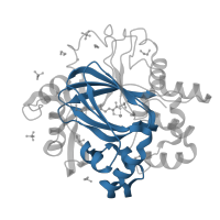 The deposited structure of PDB entry 5pkj contains 1 copy of Pfam domain PF02373 (JmjC domain, hydroxylase) in Lysine-specific demethylase 4D. Showing 1 copy in chain A.