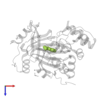 N-OXALYLGLYCINE in PDB entry 5pkl, assembly 1, top view.