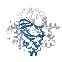 The deposited structure of PDB entry 5plb contains 1 copy of Pfam domain PF02373 (JmjC domain, hydroxylase) in Lysine-specific demethylase 4D. Showing 1 copy in chain A.