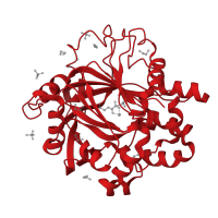 The deposited structure of PDB entry 5pmb contains 1 copy of CATH domain 2.60.120.650 (Jelly Rolls) in Lysine-specific demethylase 4D. Showing 1 copy in chain A.