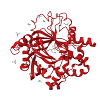 The deposited structure of PDB entry 5pmf contains 1 copy of CATH domain 2.60.120.650 (Jelly Rolls) in Lysine-specific demethylase 4D. Showing 1 copy in chain A.