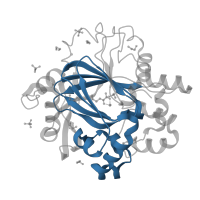 The deposited structure of PDB entry 5pmf contains 1 copy of Pfam domain PF02373 (JmjC domain, hydroxylase) in Lysine-specific demethylase 4D. Showing 1 copy in chain A.