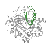 The deposited structure of PDB entry 5pmf contains 1 copy of Pfam domain PF02375 (jmjN domain) in Lysine-specific demethylase 4D. Showing 1 copy in chain A.