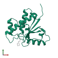 Low molecular weight phosphotyrosine protein phosphatase in PDB entry 5pnt, assembly 1, front view.