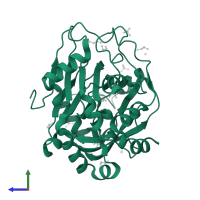 Lysine-specific demethylase 4D in PDB entry 5pnw, assembly 1, side view.