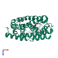 Bile acid receptor in PDB entry 5q0l, assembly 1, top view.