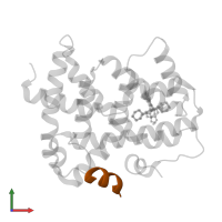Nuclear receptor coactivator 1 in PDB entry 5q19, assembly 1, front view.