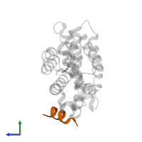 Nuclear receptor coactivator 1 in PDB entry 5q1f, assembly 1, side view.