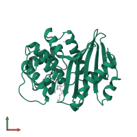 Beta-lactamase in PDB entry 5qb4, assembly 3, front view.